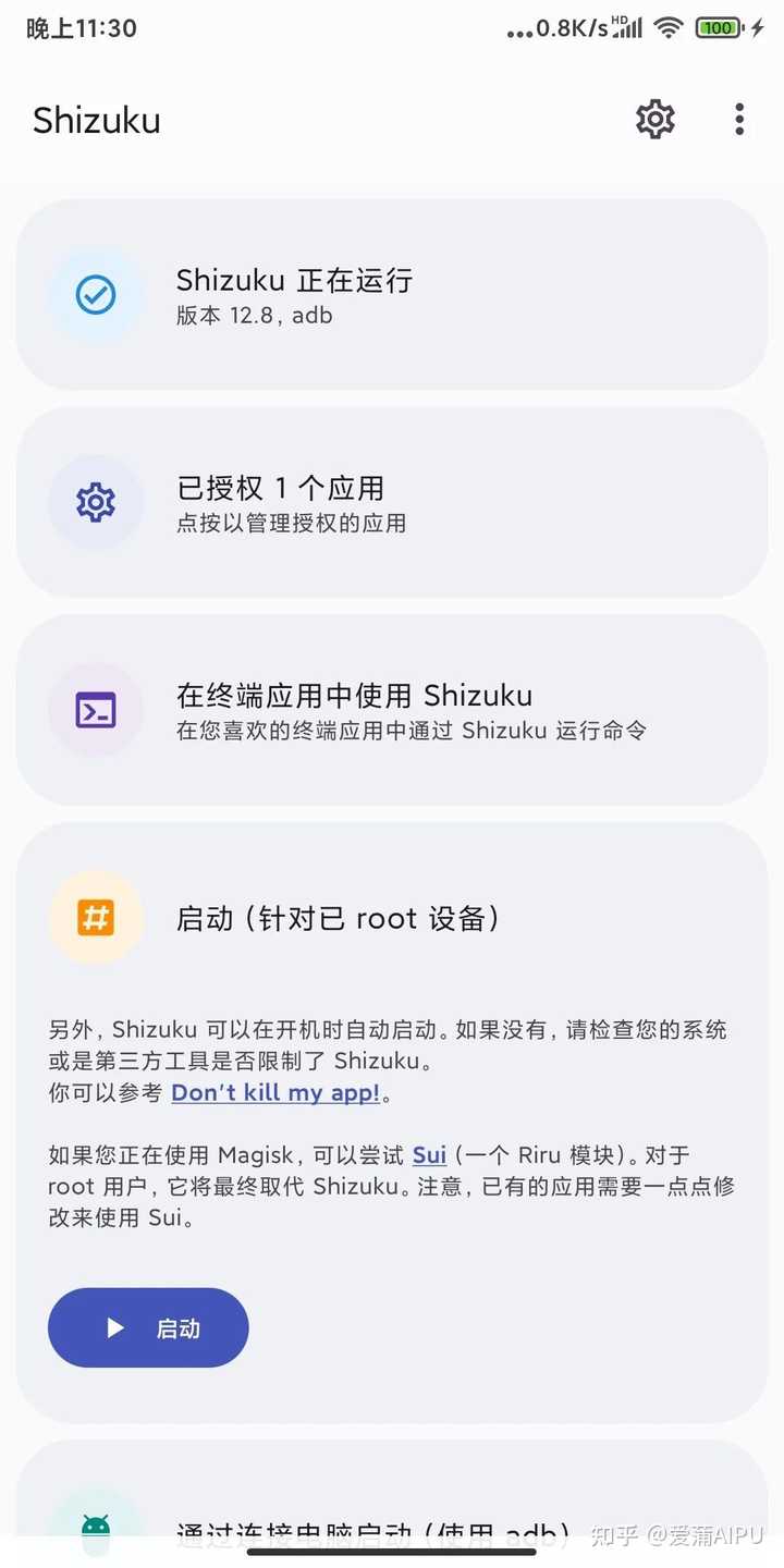 Shizuku 通过 adb 启动的主页界面